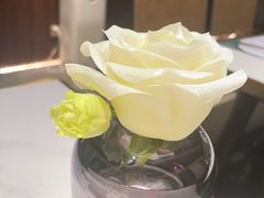 -静香HOUSE·全时段融合餐厅(七星欢乐颂店)