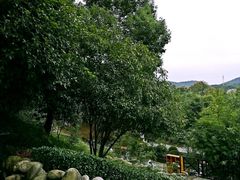 -三江森林温泉度假区