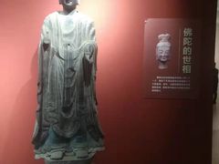 -安阳博物馆