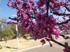 -济南国际园博园