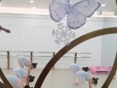 -朵拉舞蹈·少儿舞蹈·成人舞蹈(百花校区)