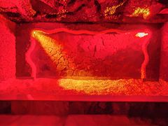 -碧中海汤泉汗蒸酒店