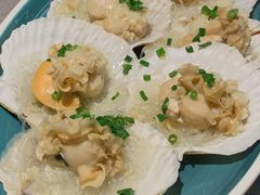 蒜蓉粉丝蒸元贝-啫神·广州地标美食(北京路店)