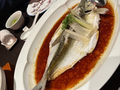 -宁波柏悦酒店·钱湖渔港