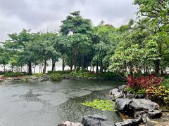 -顺峰山公园