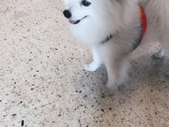 -首创奥特莱斯(昆山店)