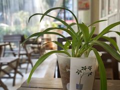 -绿小院(荔湾店)