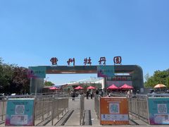 -曹州牡丹园