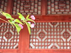 -隆兴寺