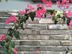 -鹿其林酒家(大学城店)