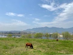 -东梓关景区村庄