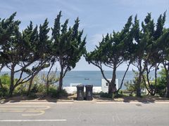 -养马岛旅游度假区