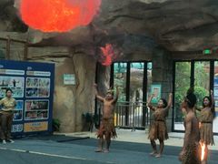 -杭州开元森泊度假乐园