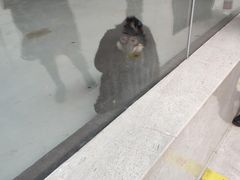 -太原动物园