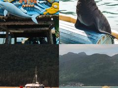 -海南分界洲岛旅游区