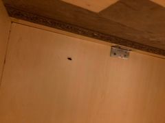 -7天酒店·广州天河公园地铁站店