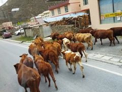 -阿坝州汶川特别旅游区