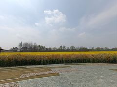 -中国天府农业博览园