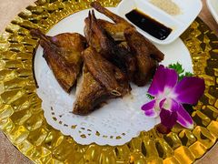 石岐乳鸽-轩记海鲜餐厅·四十五年老字号·经典粤菜(西区彩虹店)