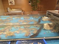 -盛宴自助餐厅(运达喜来登店)