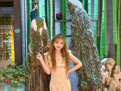 -雀舞云南菜(天津天河城购物中心店)