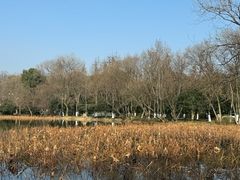 -茅家埠