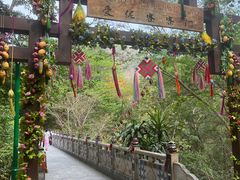 -西双版纳原始森林公园