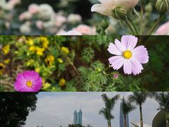 -人民公园(罗湖区)