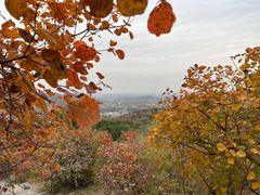 -香山公园