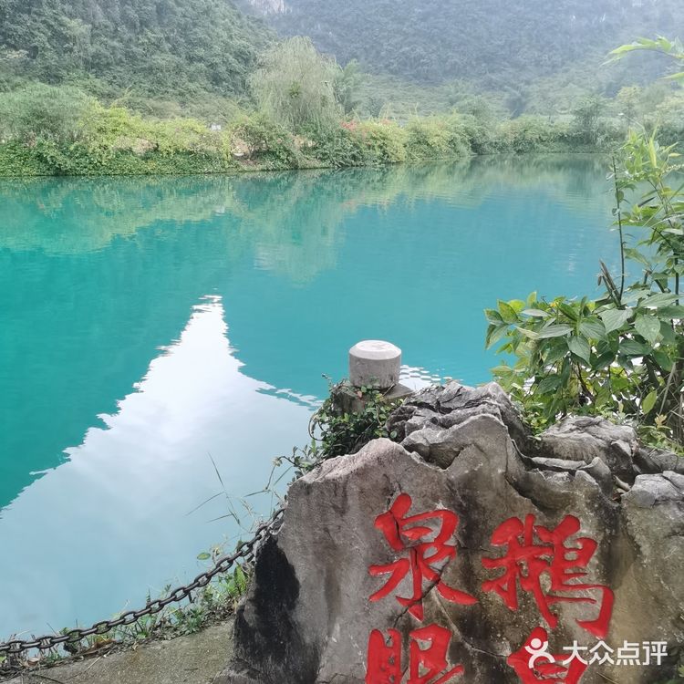 靖西∽游记🌾鹅泉风景区
