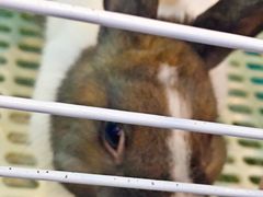 -UltraForce超源健身私教工作室(长楹天街精品店)