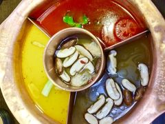-老诚一锅羊蝎子(黄寺大街店)