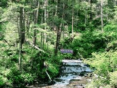 -峡谷浮石林景区