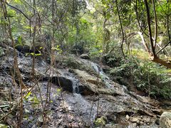 -阳台山森林公园