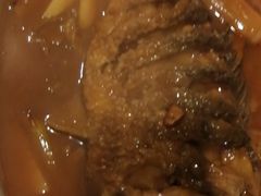 -阿五黄河大鲤鱼(纬三路店)