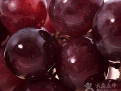 -马陆小张葡萄园农家乐