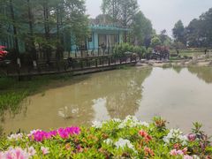 -铁山坪森林公园