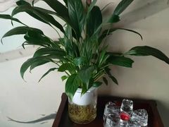 -新盈光·旗舰店(海曙苍松路店)