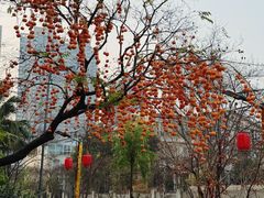 -田园印象·成都土菜院子(华阳店)