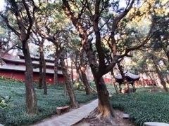 -七曲山风景区