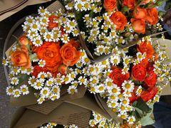 -循礼门鲜花花市(武汉循礼门店)