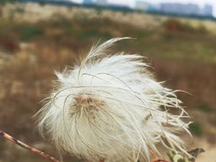 -赛汗塔拉风情园