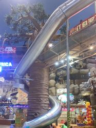 -卡通尼·Safari非洲探索乐园·生日会(金桥国际商业广场店)