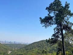 -南京老山国家森林公园