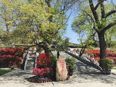 -红螺寺