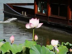 -湘湖大院(越王路店)