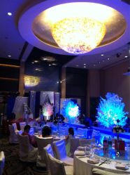 iphone_upload_pic-上海浦东喜来登由由大酒店·宴会厅