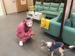 -爱妮康宠物医院·干细胞免疫细胞·肿瘤·心脏(张江店)