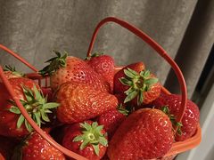 -家乐福会员店(成山路店)