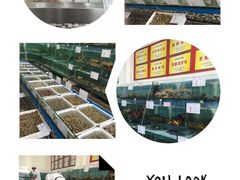-海岛渔村大酒店(云霄路店)